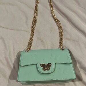 Mint butterfly purse